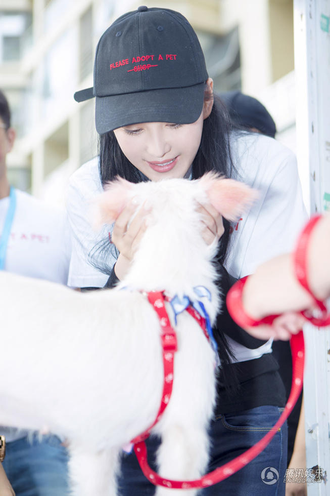 第44届北京宠物领养日举行 张馨予被授予其为爱心大使