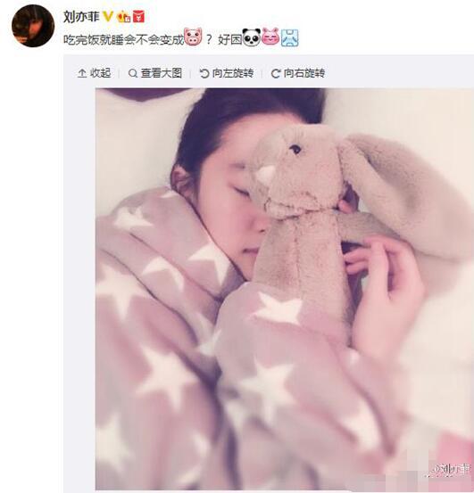 刘亦菲晒睡眠照 抱兔子玩具皮肤红润白皙
