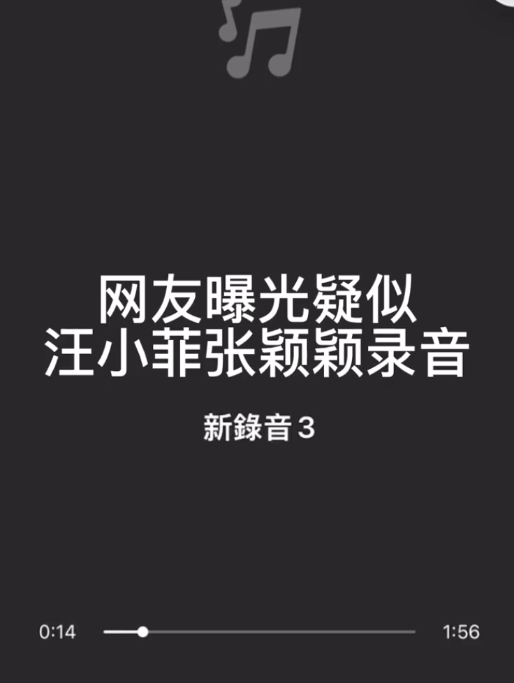 一段疑似汪小菲张颖颖通话录音曝光 信息量巨大