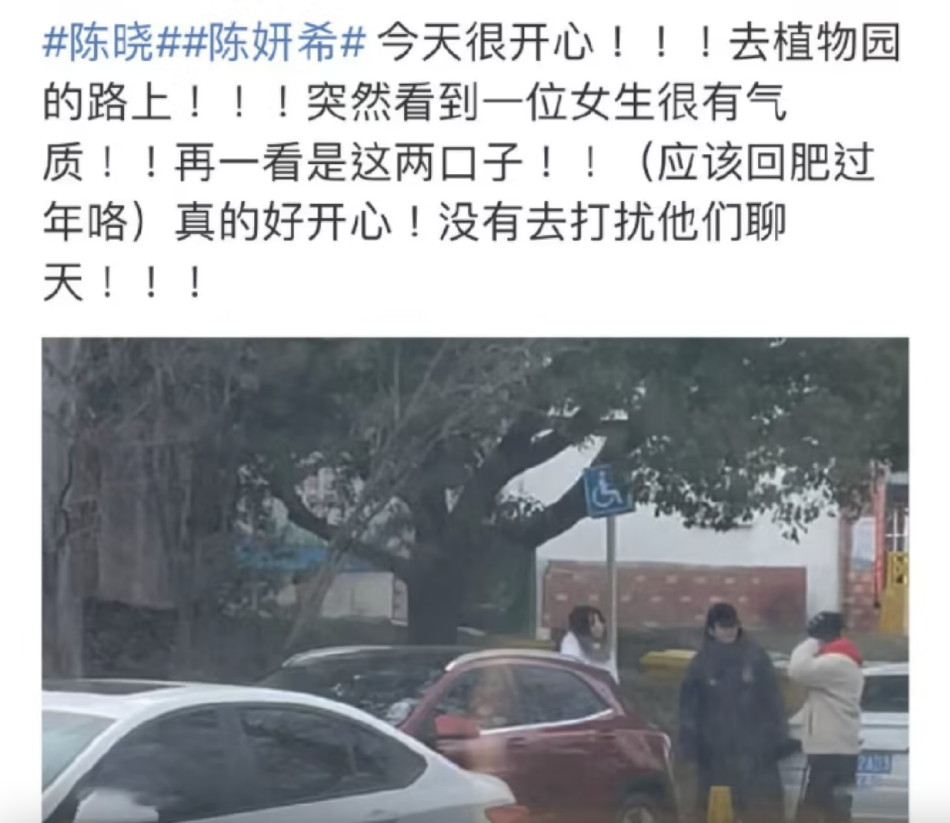 网友偶遇陈晓陈妍希 夫妻二人穿羽绒服站在路旁与好友聊天