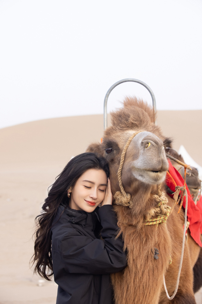 Angelababy现身沙漠与骆驼贴贴 长卷发造型妆容精致