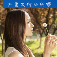 带有蒲公英的美女QQ皮肤