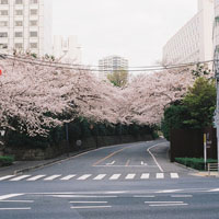 城市风景唯美头像