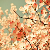 花团锦簇唯美个性头像