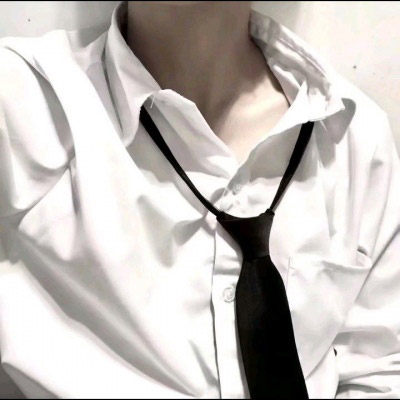 白衬衫黑领带半身男头