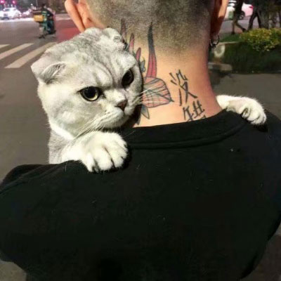 怀抱猫咪的男生头像