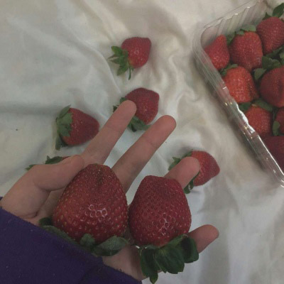 用草莓做头像的图片