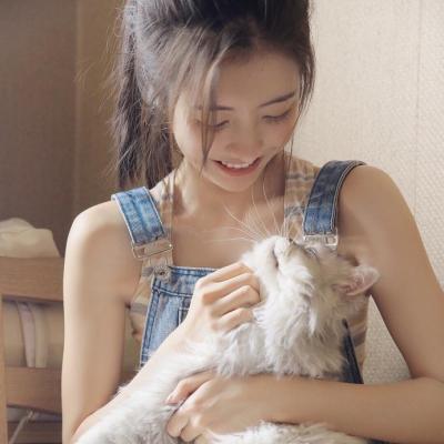 女生抱猫的微信意境头像 因为看淡所以幸福