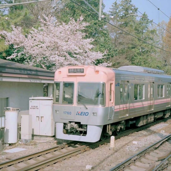 小清新文艺范儿的日本街道铁轨唯美图片